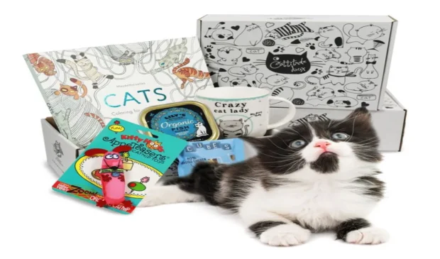 Top 10 Pet Subscription Boxes for Dogs and Cats in 2025